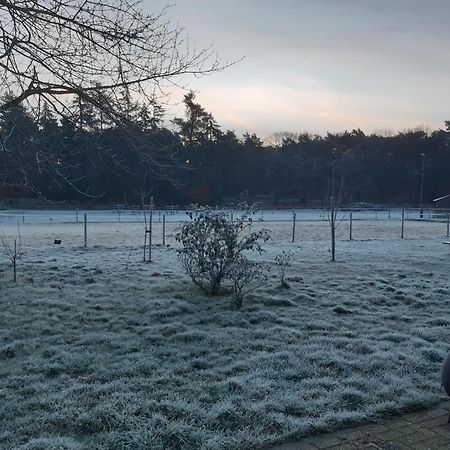 Natuurslaapkamer De Zaadeest Boskamer Lomm Exterior foto