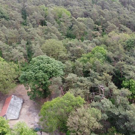 Natuurslaapkamer De Zaadeest Boskamer Lomm Exterior foto