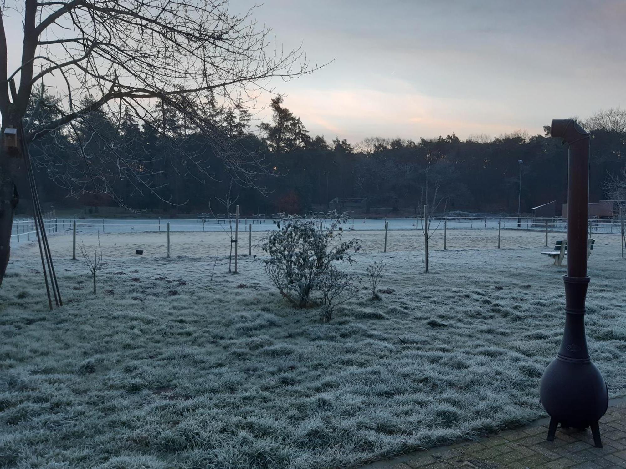 Natuurslaapkamer De Zaadeest Boskamer Lomm Exterior foto