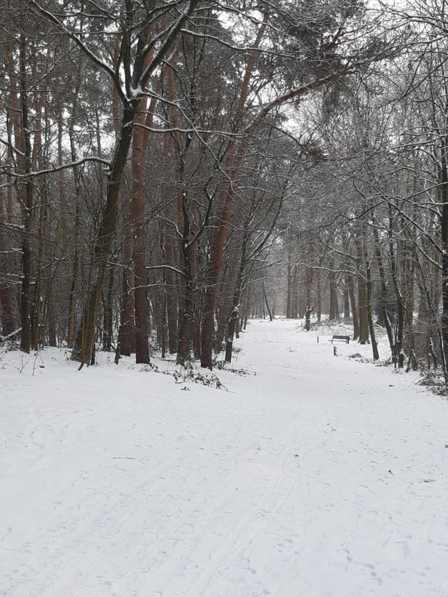 Natuurslaapkamer De Zaadeest Boskamer Lomm Exterior foto